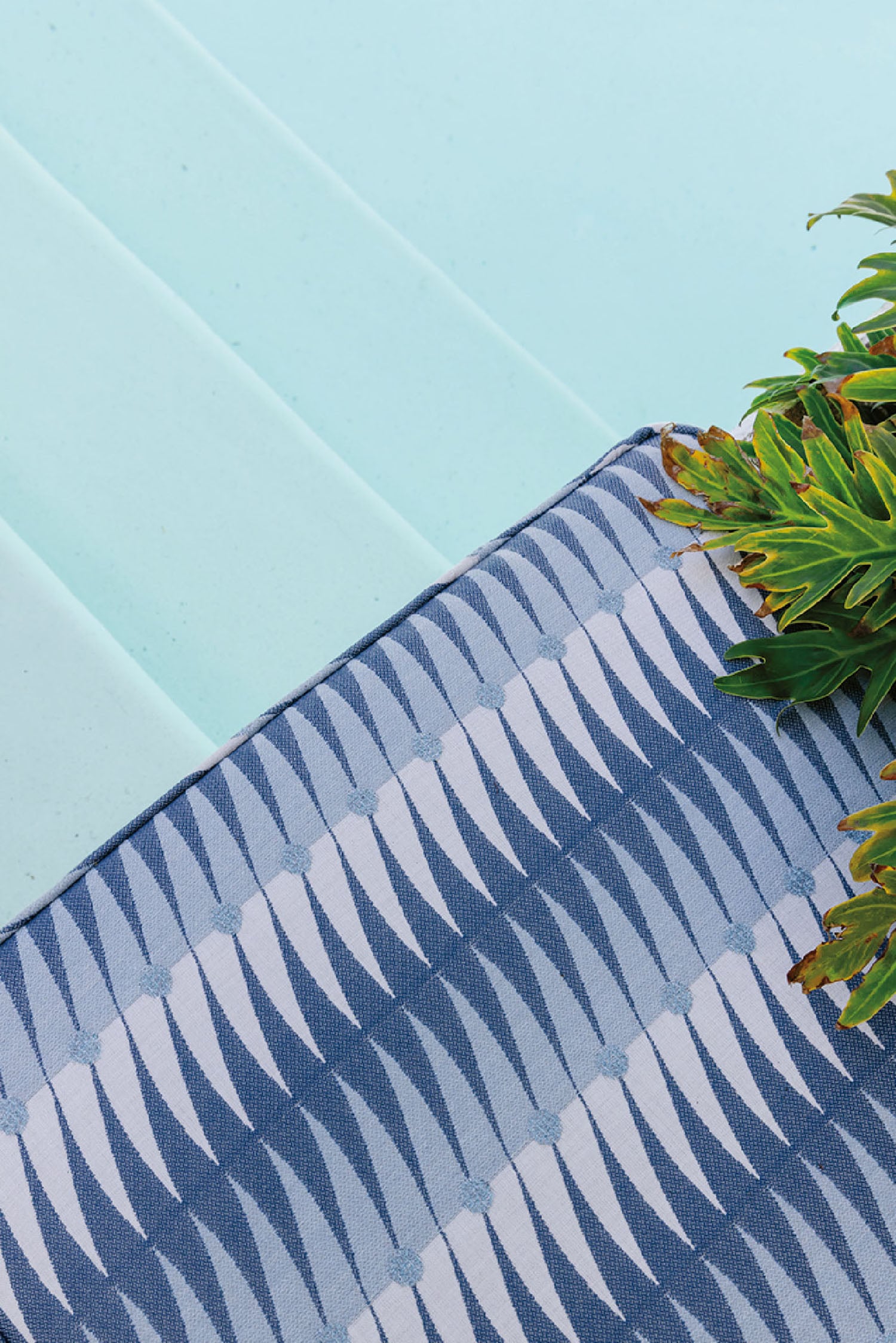 A plant is growing on a blue and white table cloth.