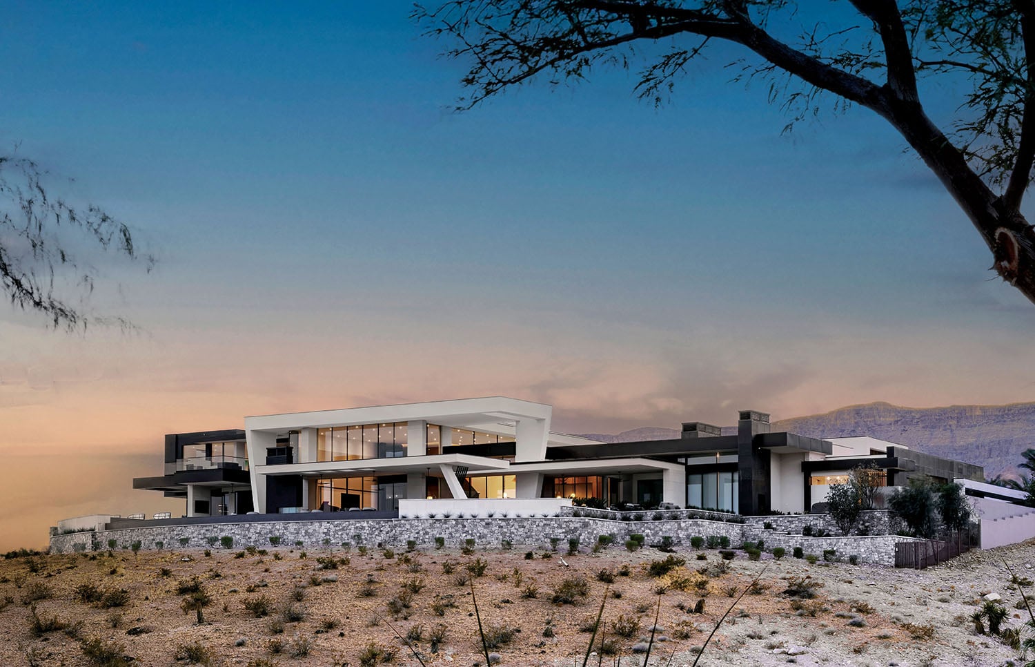 A house on a hill with a tree in the fore.