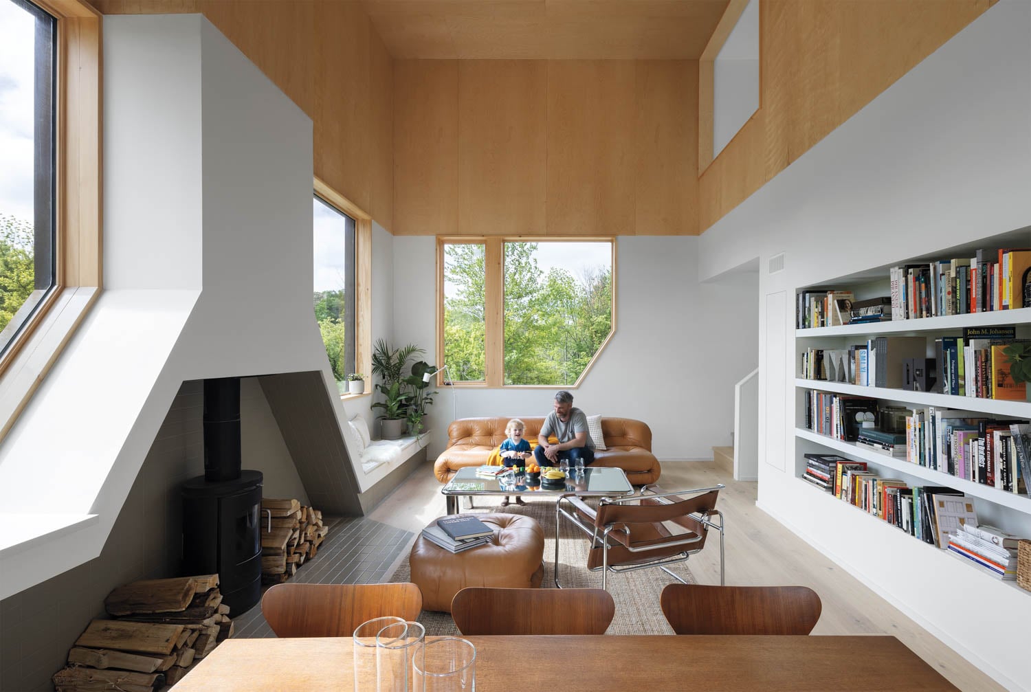 living room area with fireplace and bookshelves