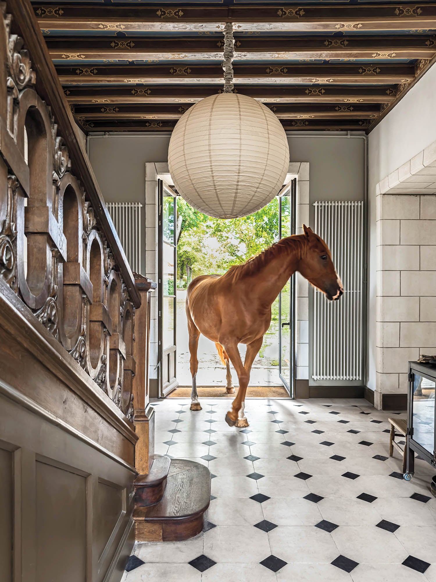 a friendly horse making its way into the chateau